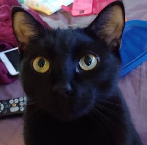 Meet your Posher, Erica